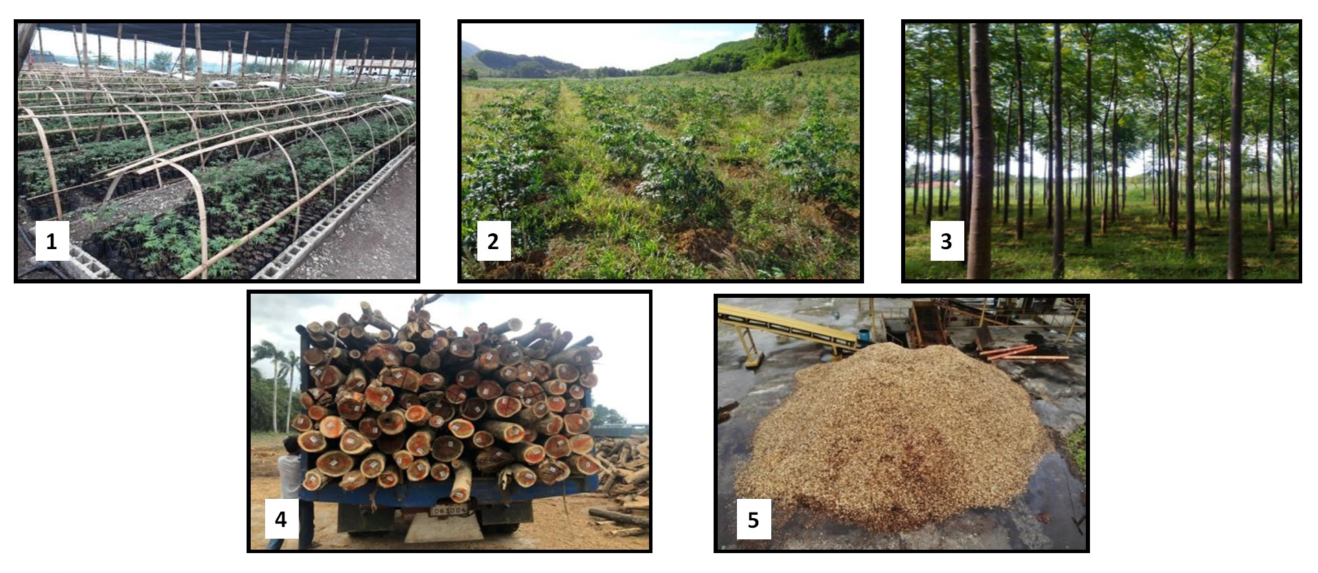 Our Expertise Cuts Across